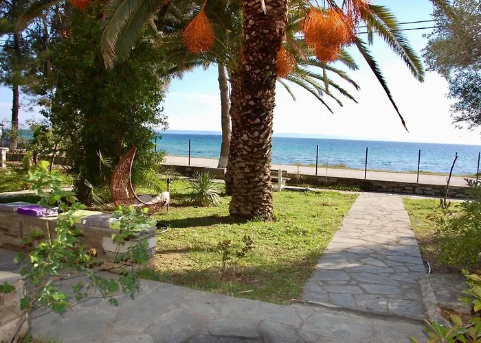 Miranda * Nikiti (Sithonia)