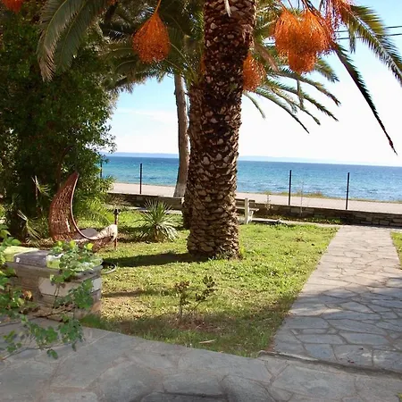 Miranda * Nikiti (Sithonia)