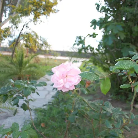 Apartmán Miranda